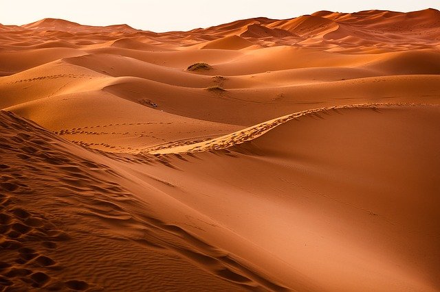 Autistic Egypt