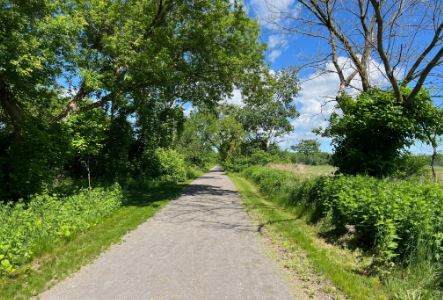 The Anchorite: Such a Deal!!! (Seventeenth Sunday in Ordinary Time – C)